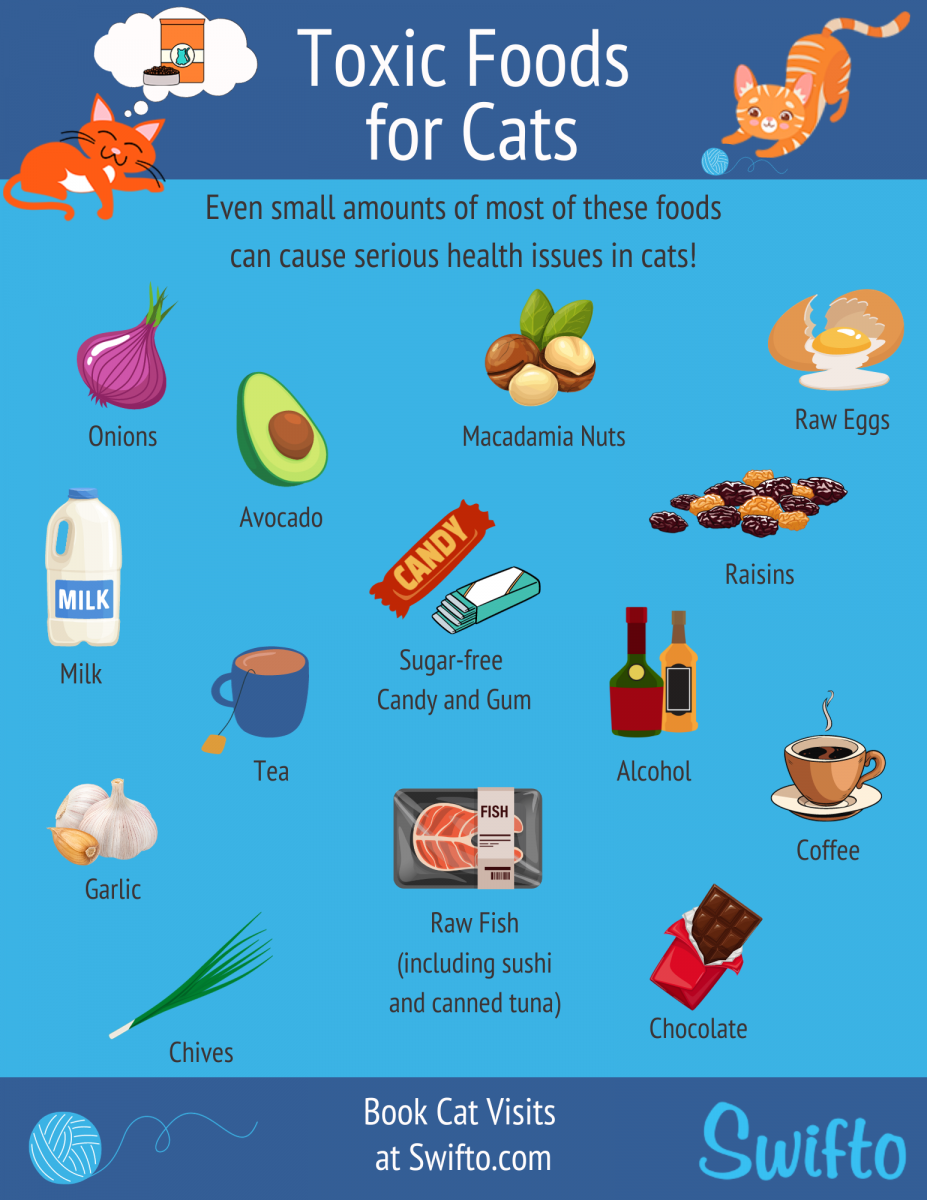 Toxic foods for cats